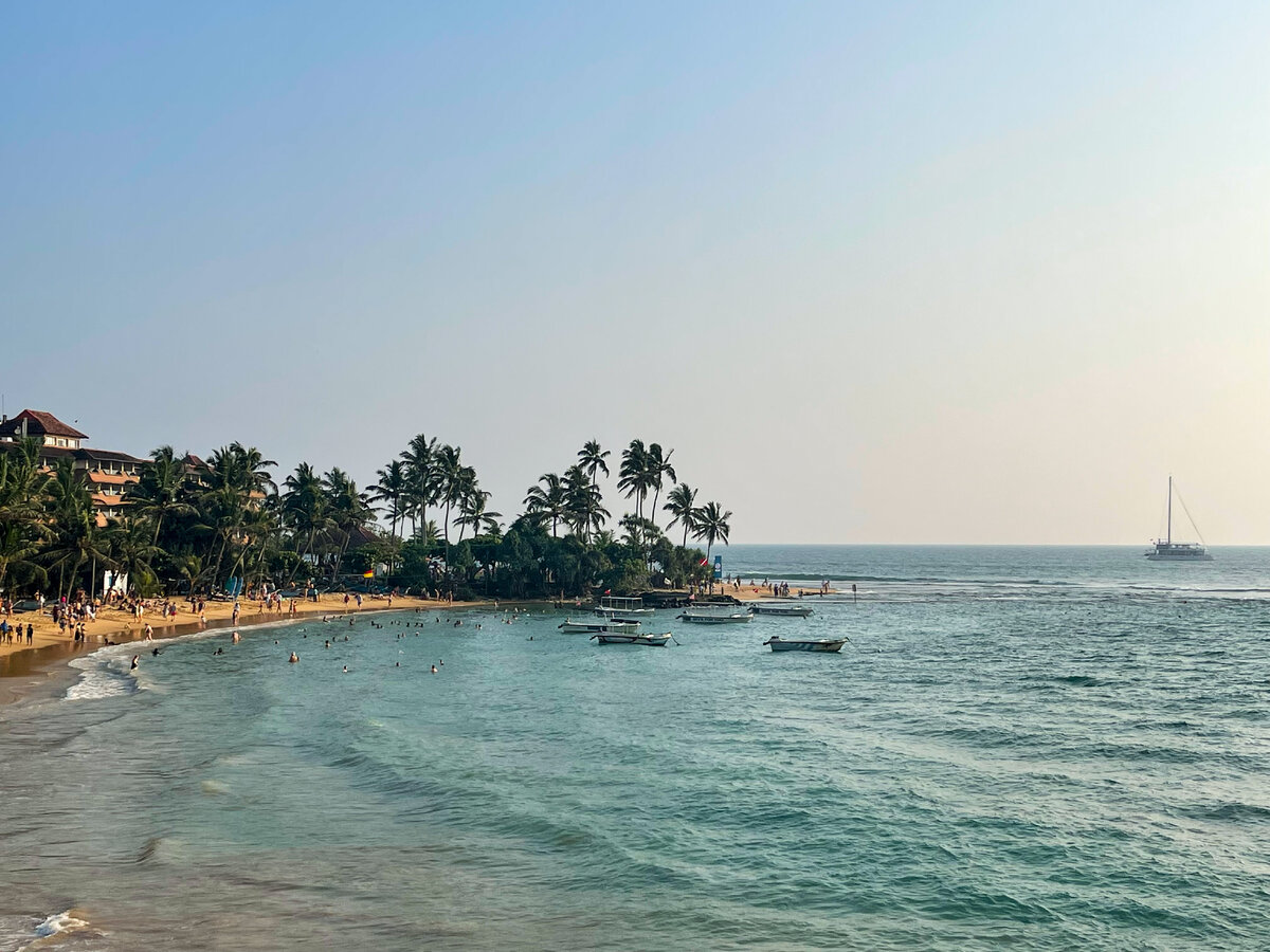 Фото автора. Turtle Beach