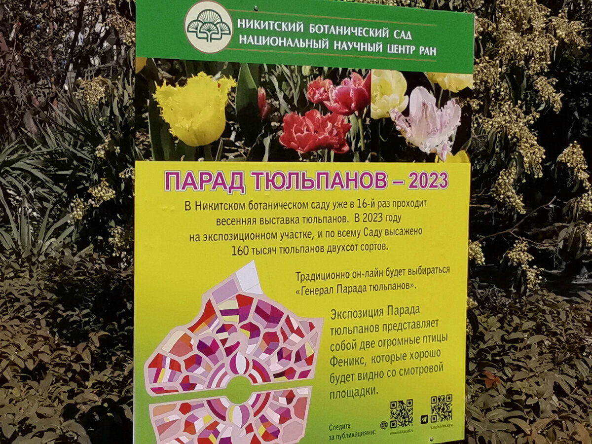 Парад тюльпанов 2023.