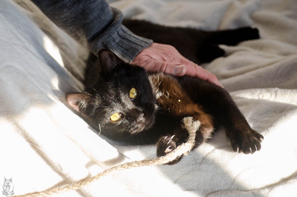 Фотографии из личного архива