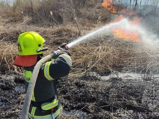     В Саратове в поселке Нефтяников загорелся камыш и трава на площади 800 квадратных метров. Фото: ГУ МЧС по Саратовской области