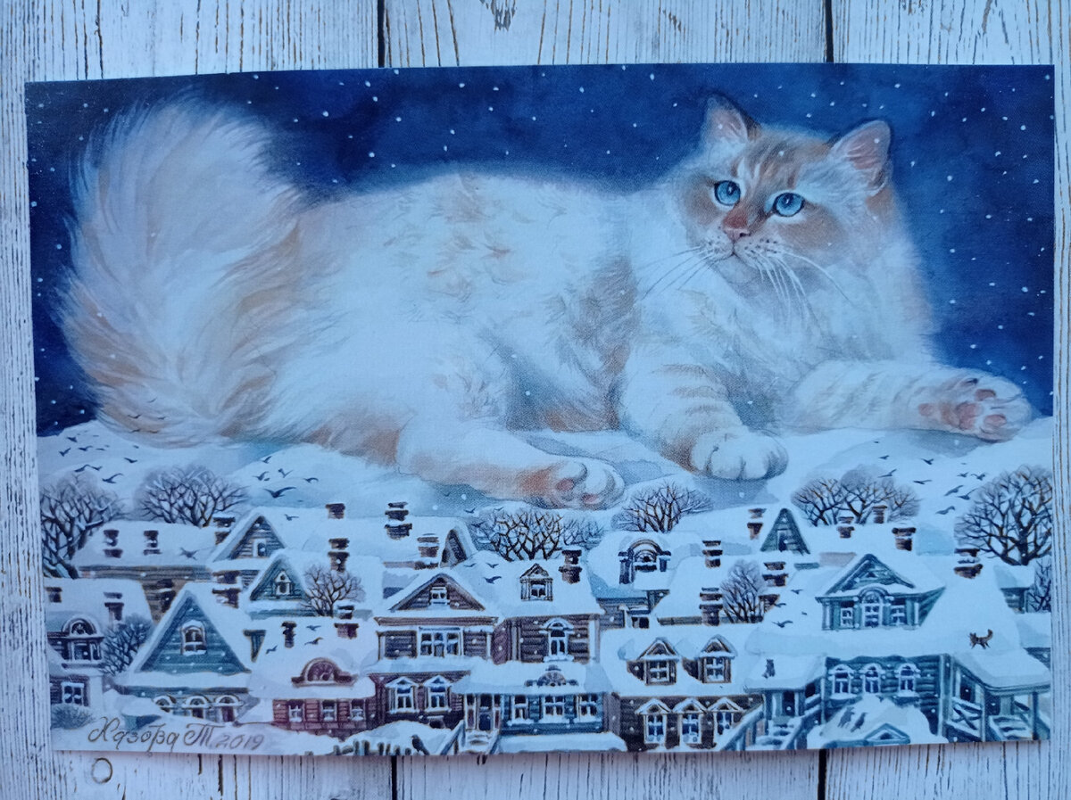 открытка из коллекции "Коты" Художник Татьяна Хазова (https://vk.com/hazova_tanya)