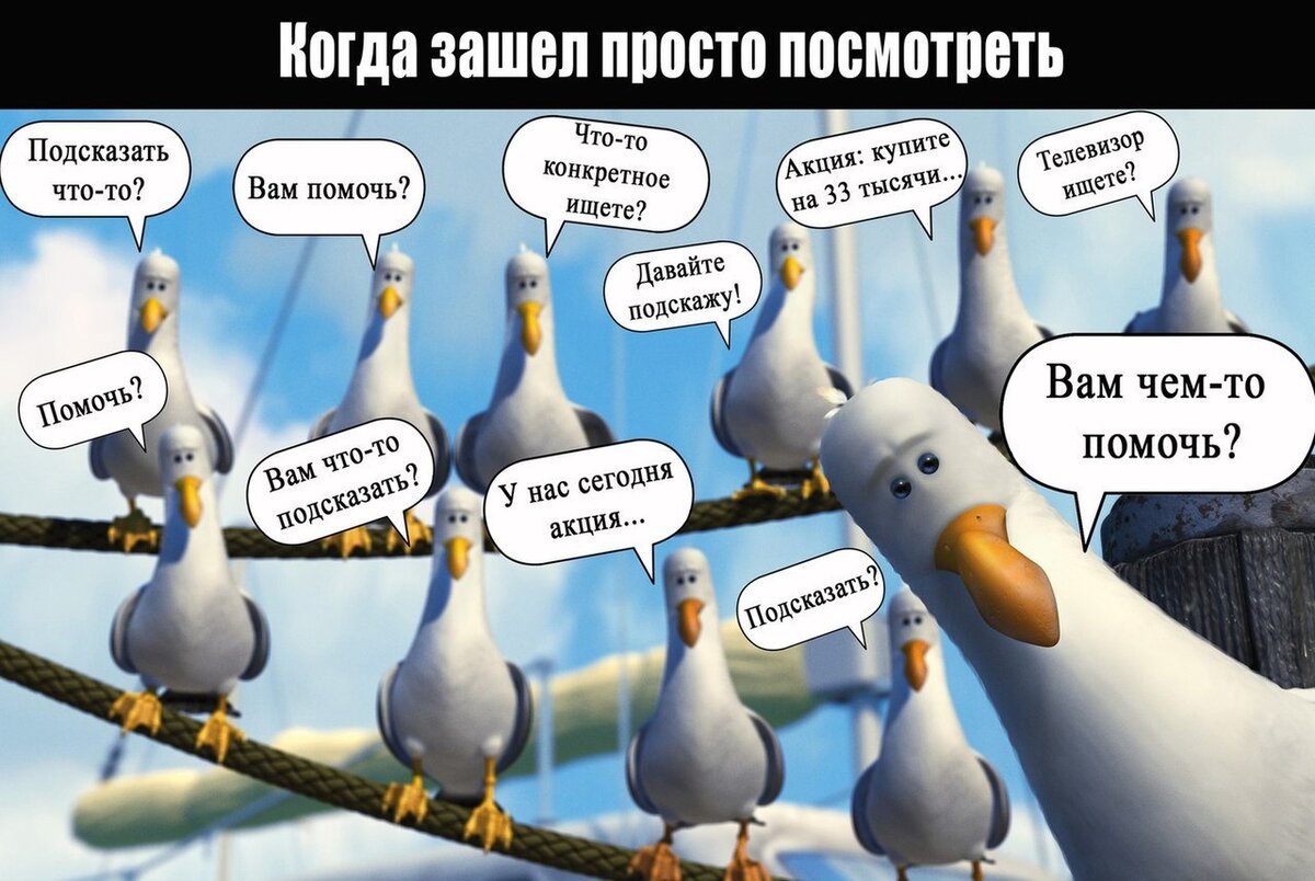 Просто помоги. Вам что то подсказать. Шутки про продавцов консультантов. Смешные цитаты про продавцов. Анекдоты про продавцов и покупателей.