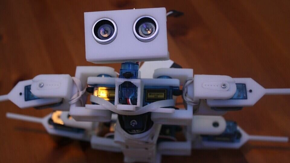     Турнир координирует Минцифры.