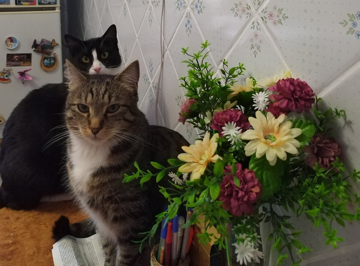 И Феликс тут как тут)))