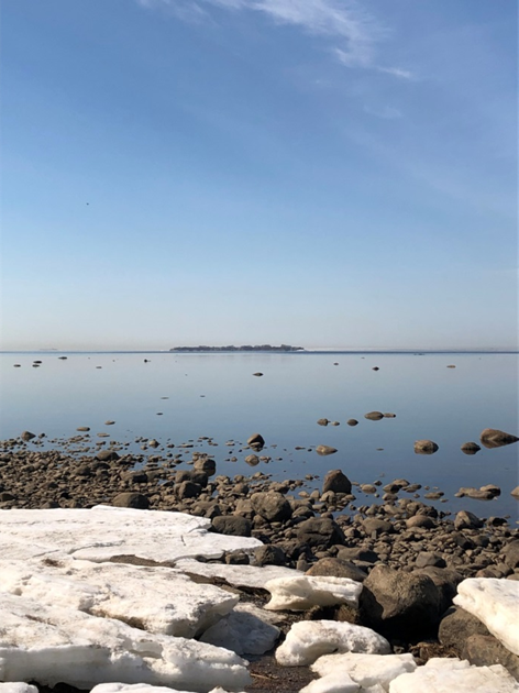 Фото автора.