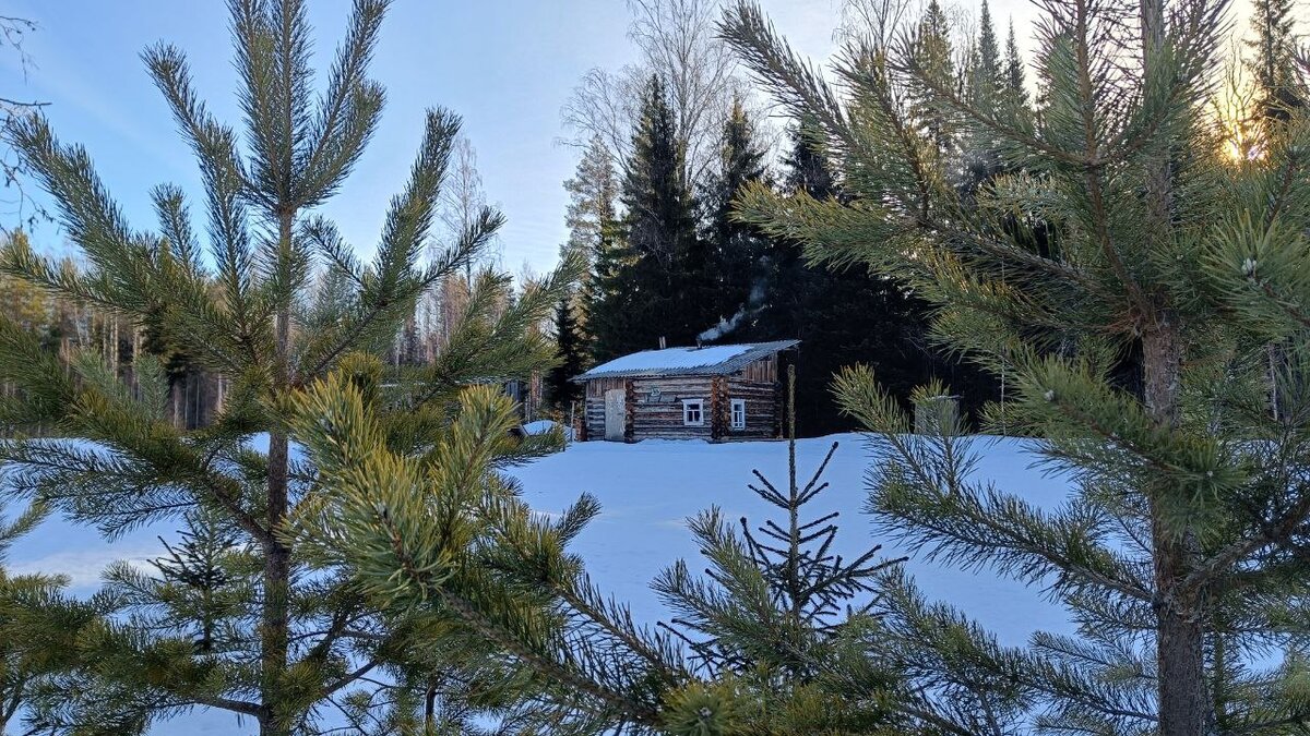 Видео походы в тайгу. Будни олега на природе в коми. Будни олега на природе в коми. Будни олега на природе в коми. Поход по грязи в тайге.