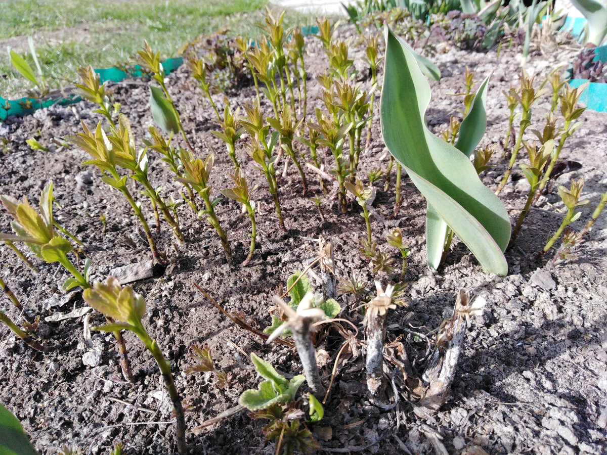 С другого ракурса