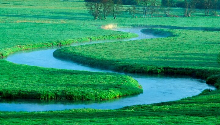 Красивая речка. Моста только нет уже, сгнил за 3000 лет.