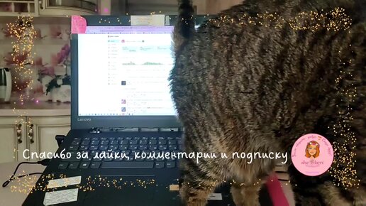 🌱 Вот чего коты так хозяйку палят, а? 🤣😁 новый вид забавы у котиков 🍀