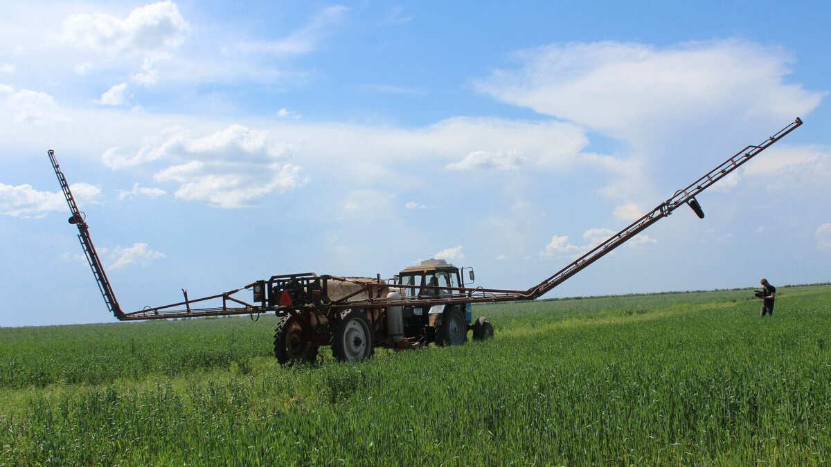     В Волгоградской области от саранчи обработают 7 500 гектаров земель сельхозназначения. Специалисты назвали шесть районов, которым угрожают вредители в текущем году, по информации администрации региона.