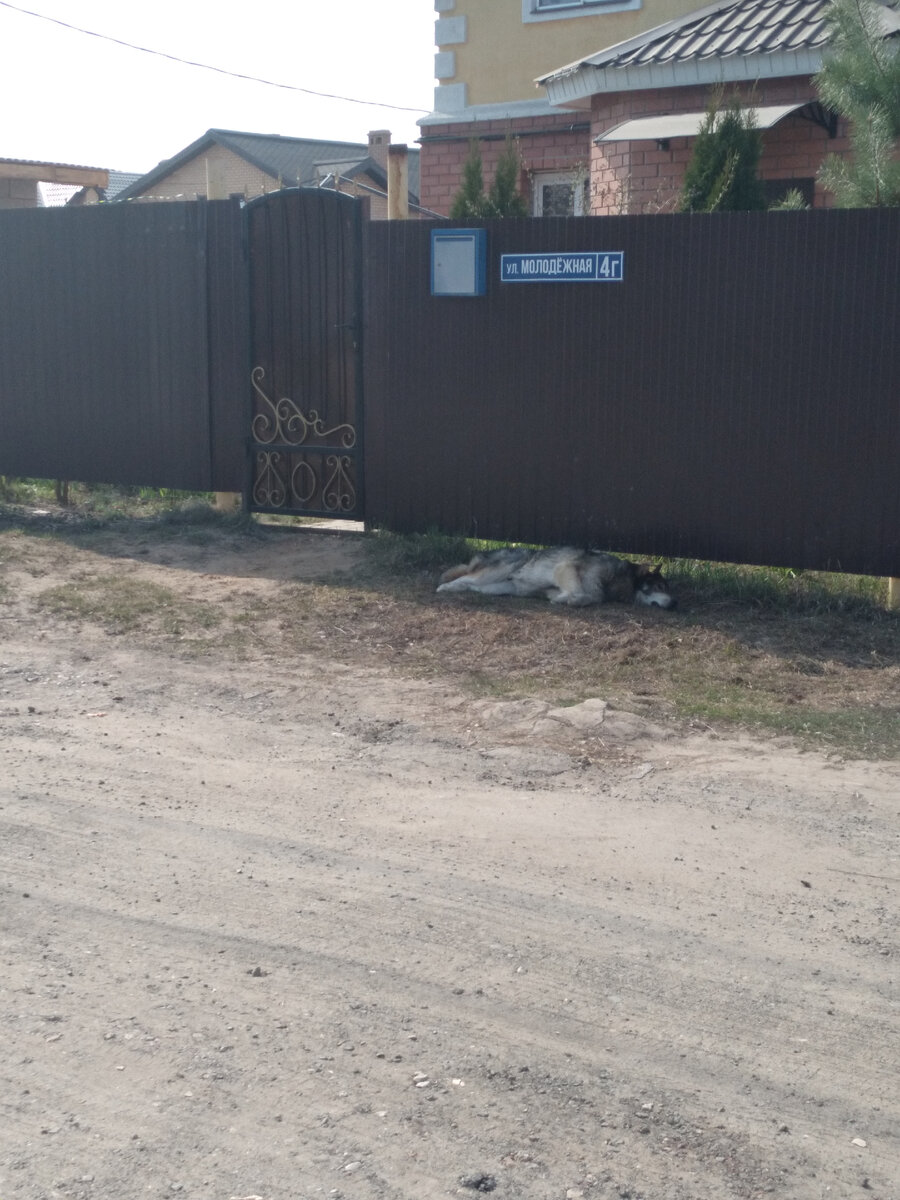 Вот она, вроде спит.