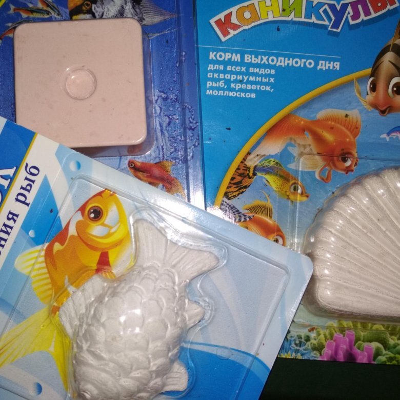 Корм выходного дня (когда нужно надолго уехать)