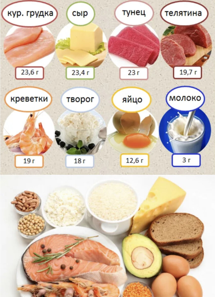 Много белка в питании. Белковые продукты для похудения. Белковая еда для похудения. Белок в продуктах. Белки в продуктах для похудения.