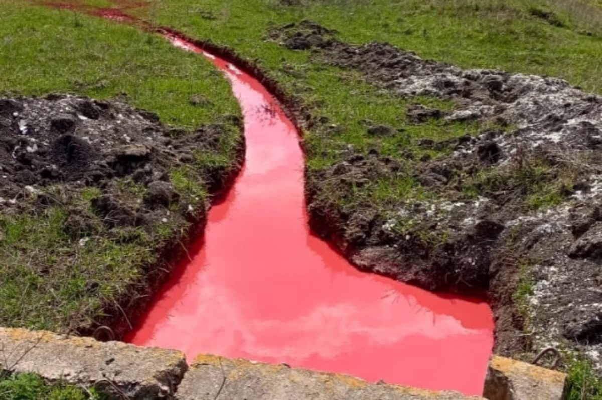    Стали известны причины появления «красного водоёма» в Белгородской области