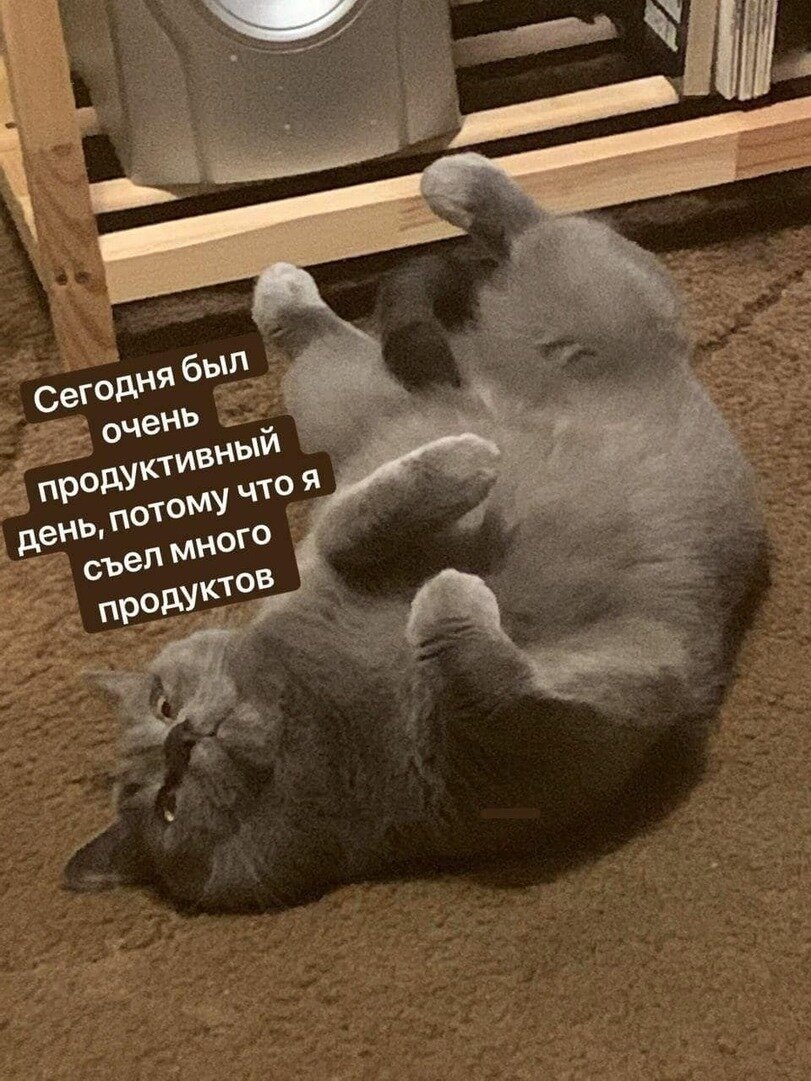 Яндекс картинки 