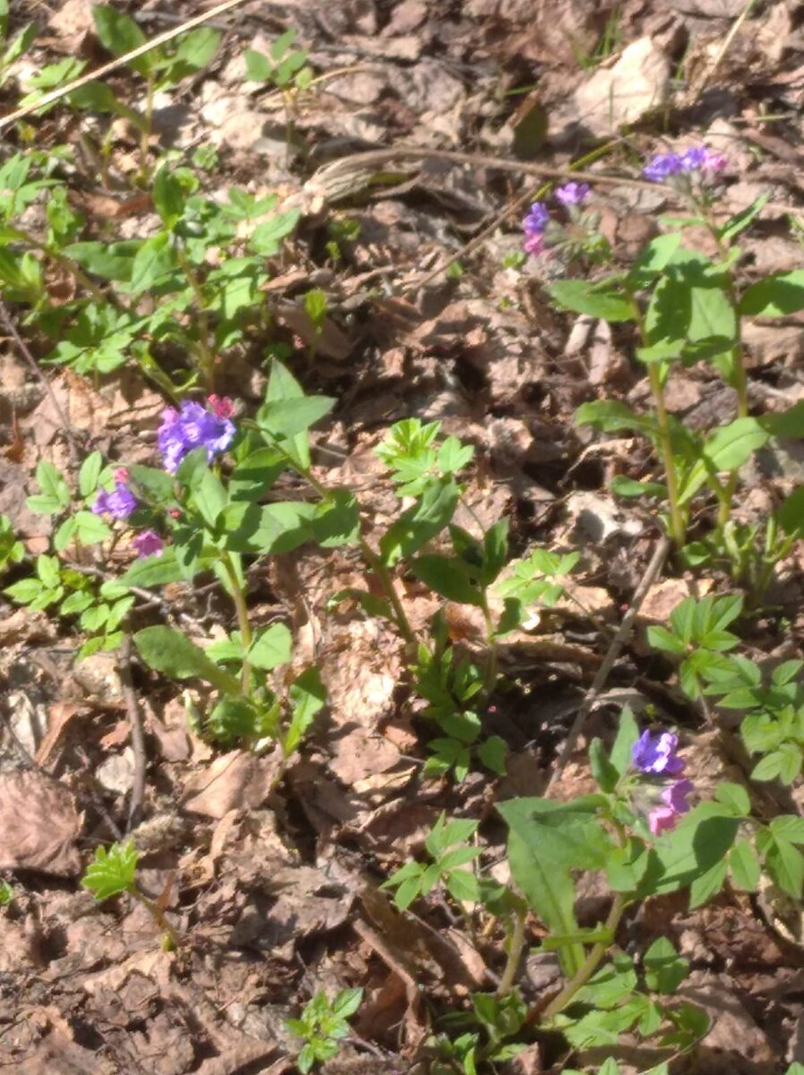 Весна пришла)))