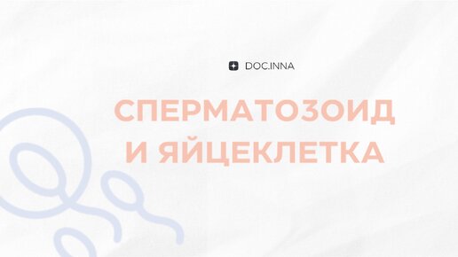 Биологическая активация неподвижных сперматозоидов в Клинике МАМА Москва