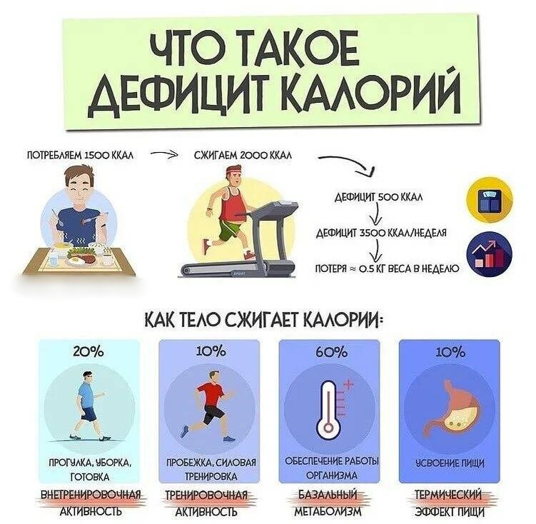 https://alfagym.ru/deficit-kalorij-nedostatok-kkal-cto-eto-kak-dostic-i-td/