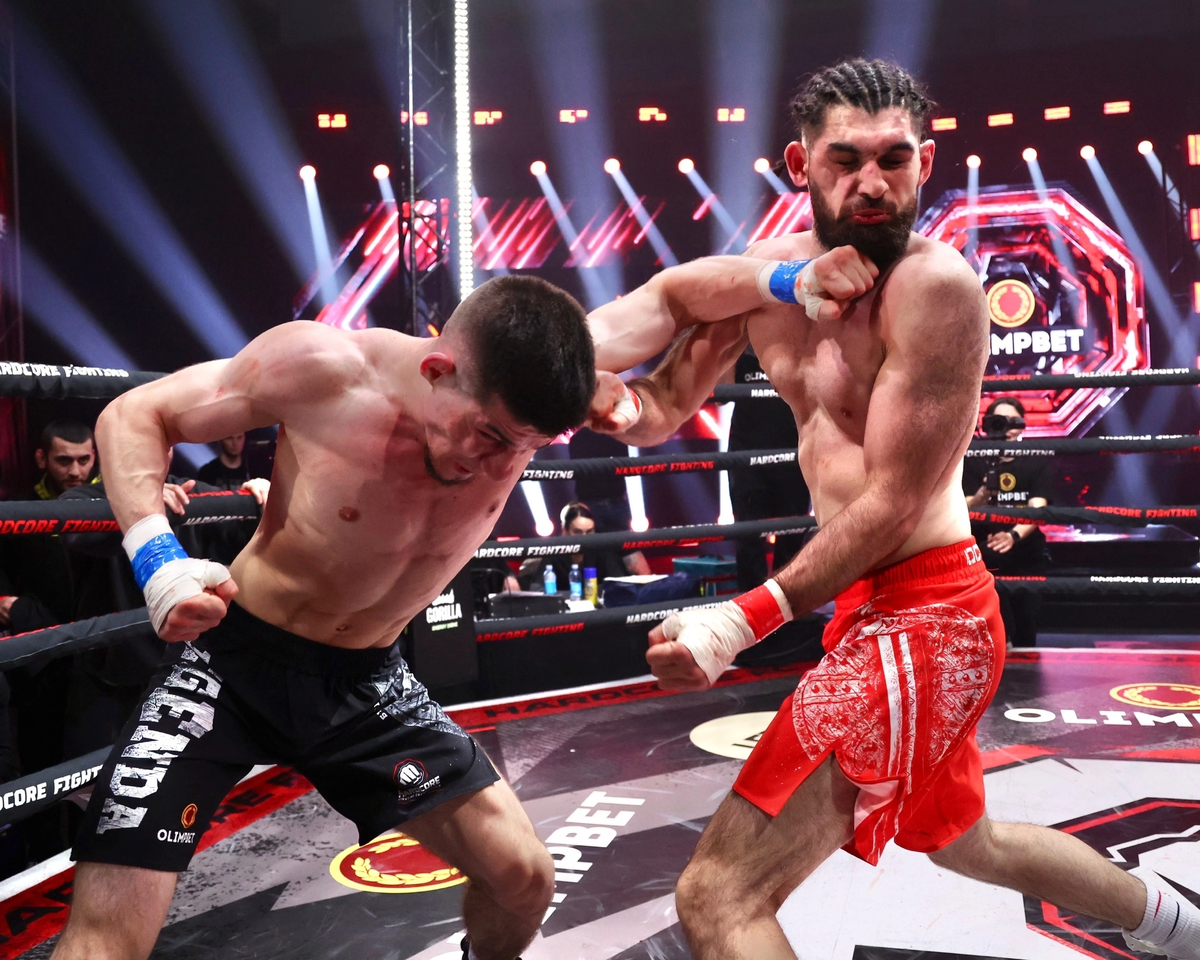 Hardcore Fighting Championship РґРµРІСѓС€РєРё