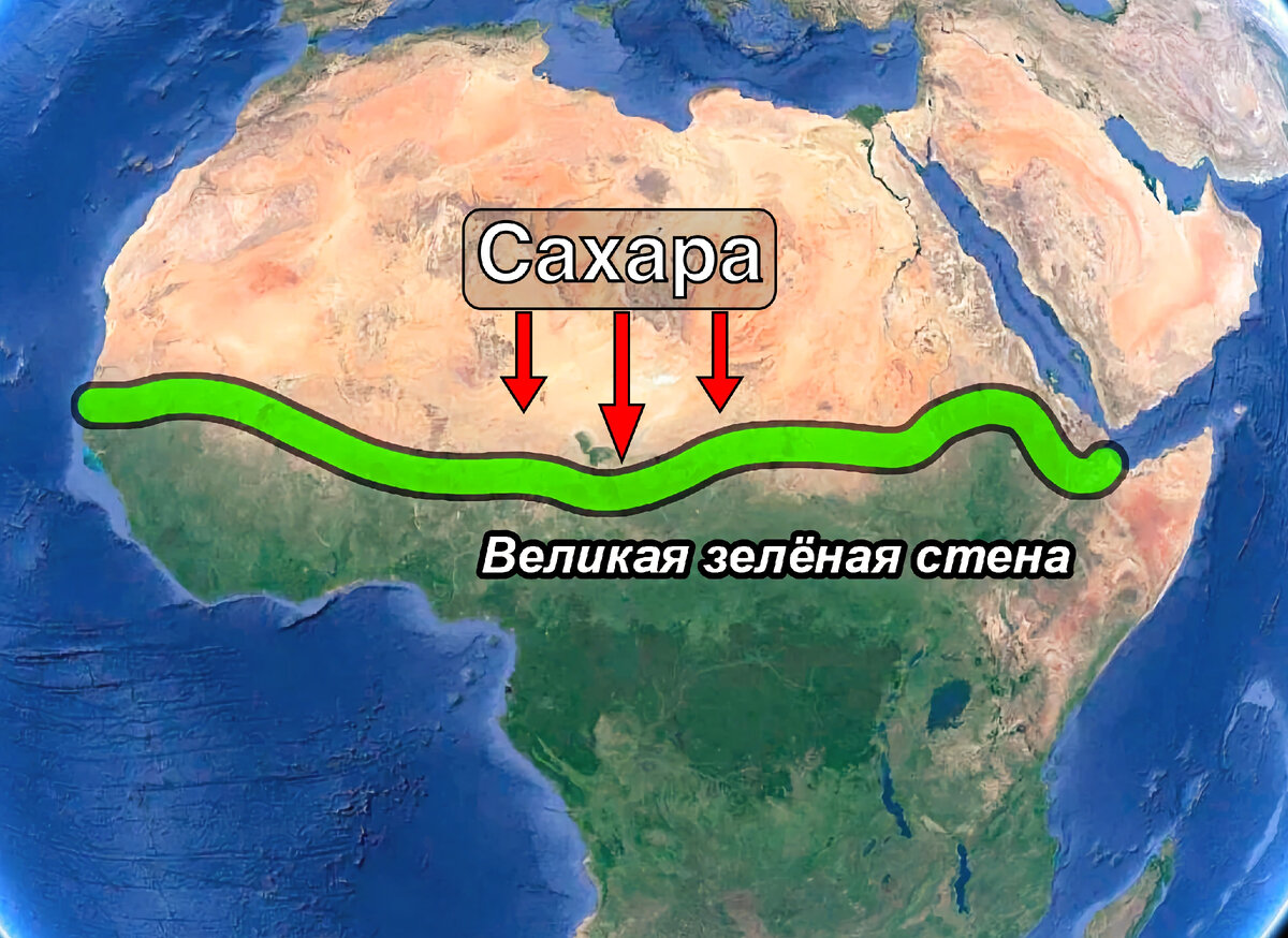 Великая зелёная стена: как Африка хочет остановить опустынивание и  защититься от Сахары? Объясняю подробно | МИР НАУКИ: интересное вокруг |  Дзен