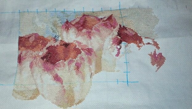 Тюльпаны от Алисы