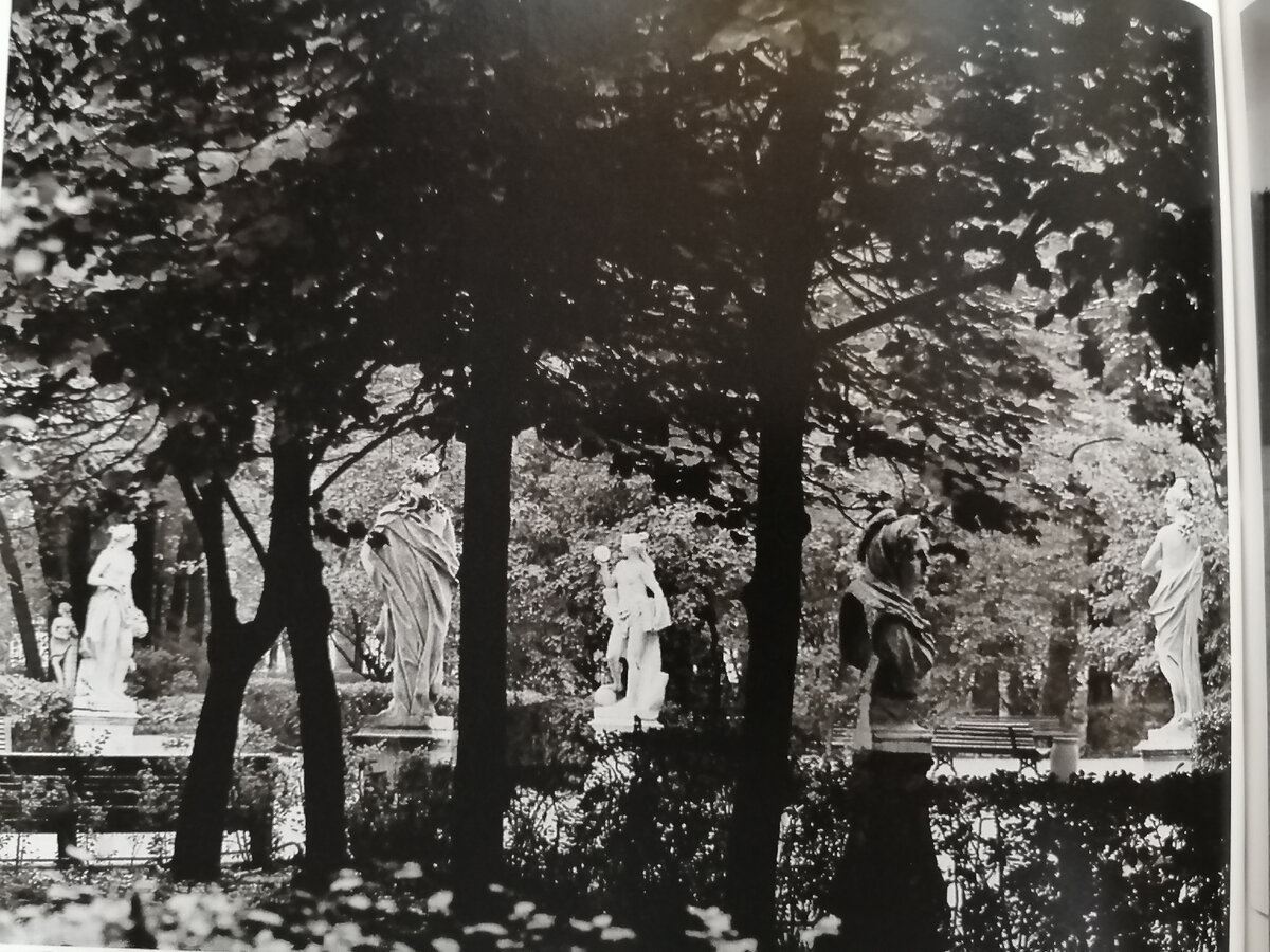 Летний сад. 