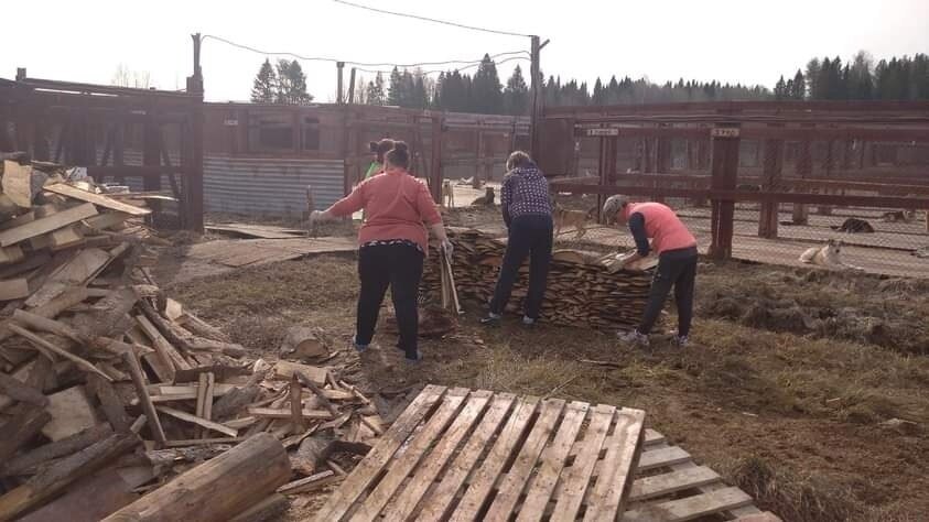 Это нам тут привезли стройматериалы — всякие б/у или просто уже ненужные поддоны, доски, горбыль и прочее. Но ведь все это нужно еще разобрать, отсортировать и сложить аккуратно. Вот этим часть волонтеров и занимается | Фото: все фотографии в тексте - автора