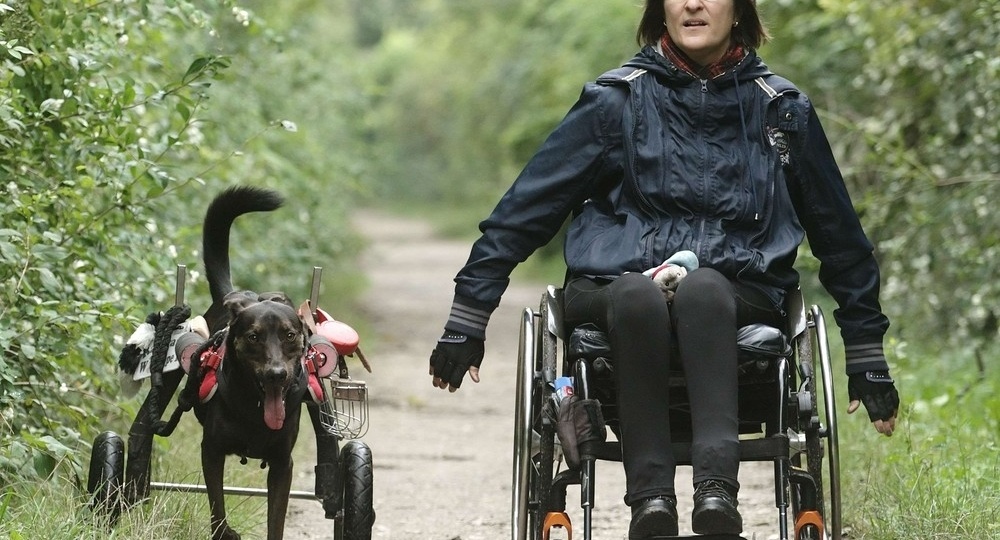 При каких болезнях дают инвалидность