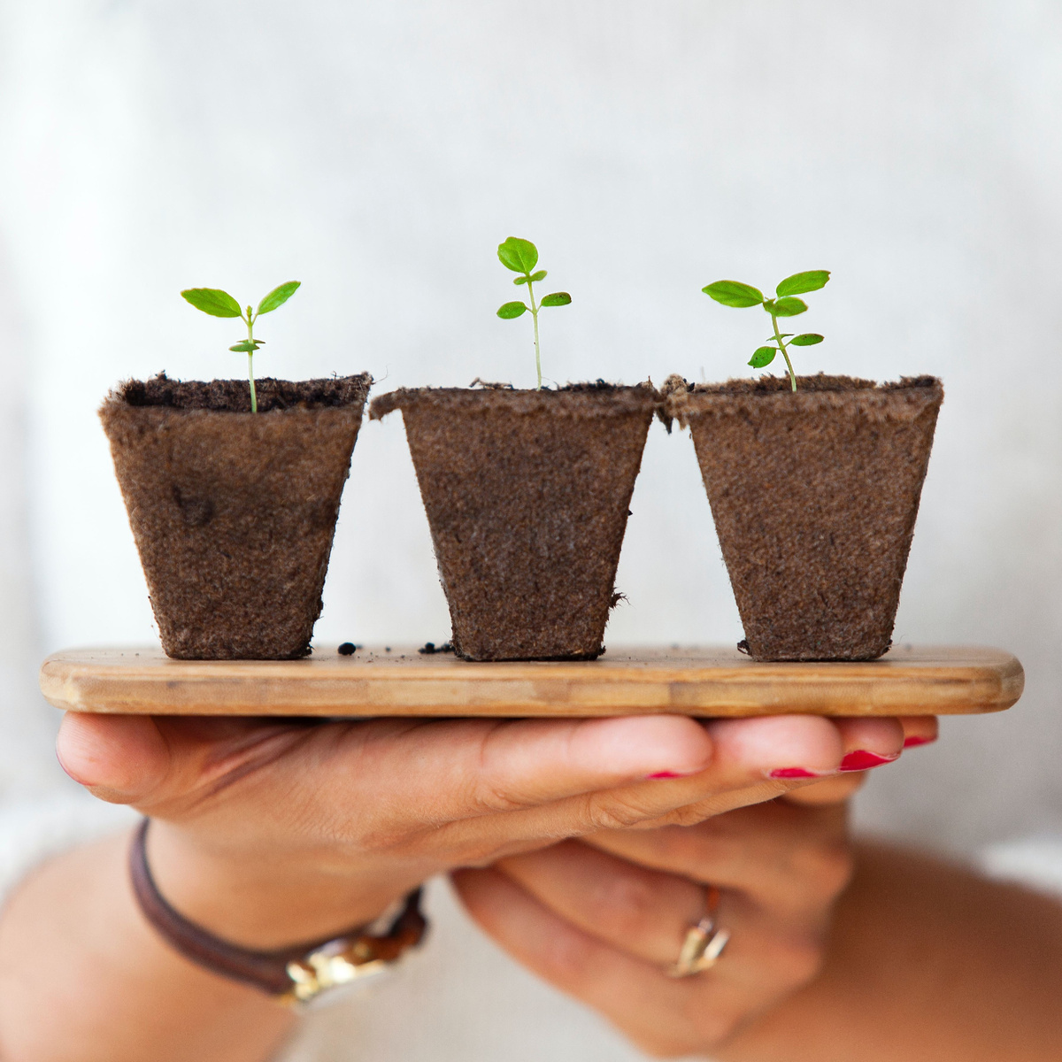 Когда удобрений много, это не всегда хорошо