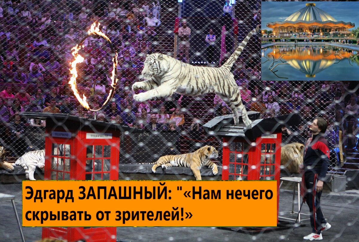 Коллаж автора. Фото из "7 секретов"