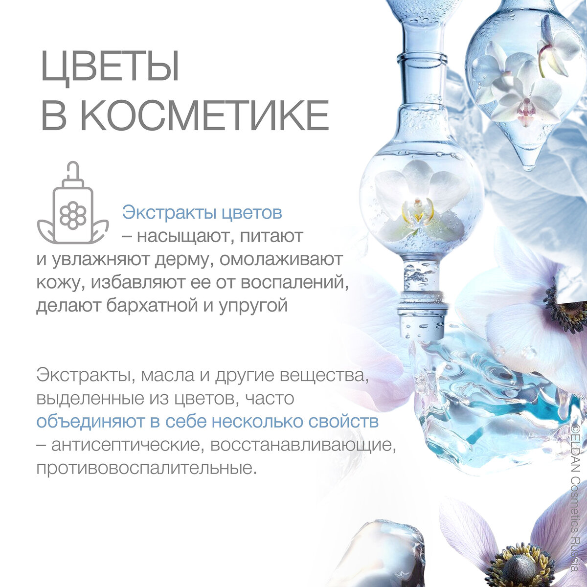 Экстракт орхидеи в косметике | ELDAN Cosmetics Russia | Дзен
