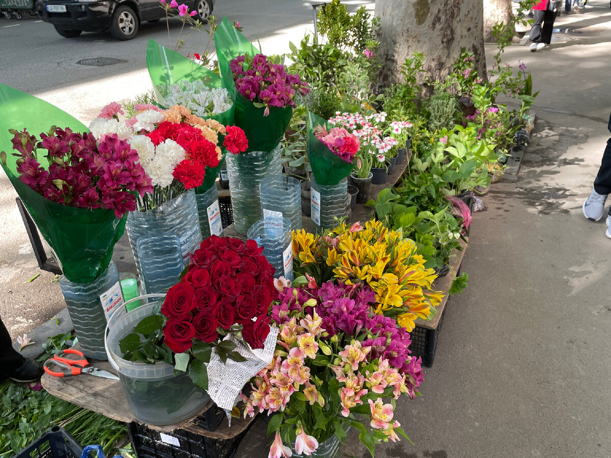 Много цветов