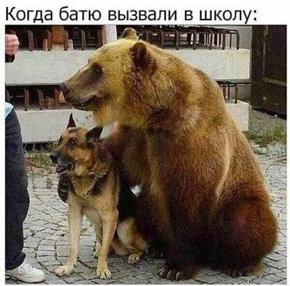 Мемы из сети, являются собственностью авторов.