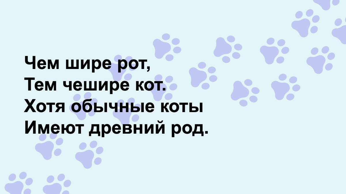 Угадайте песни о кошках, которые были популярны в СССР | Питомцы Mail.ru |  Дзен