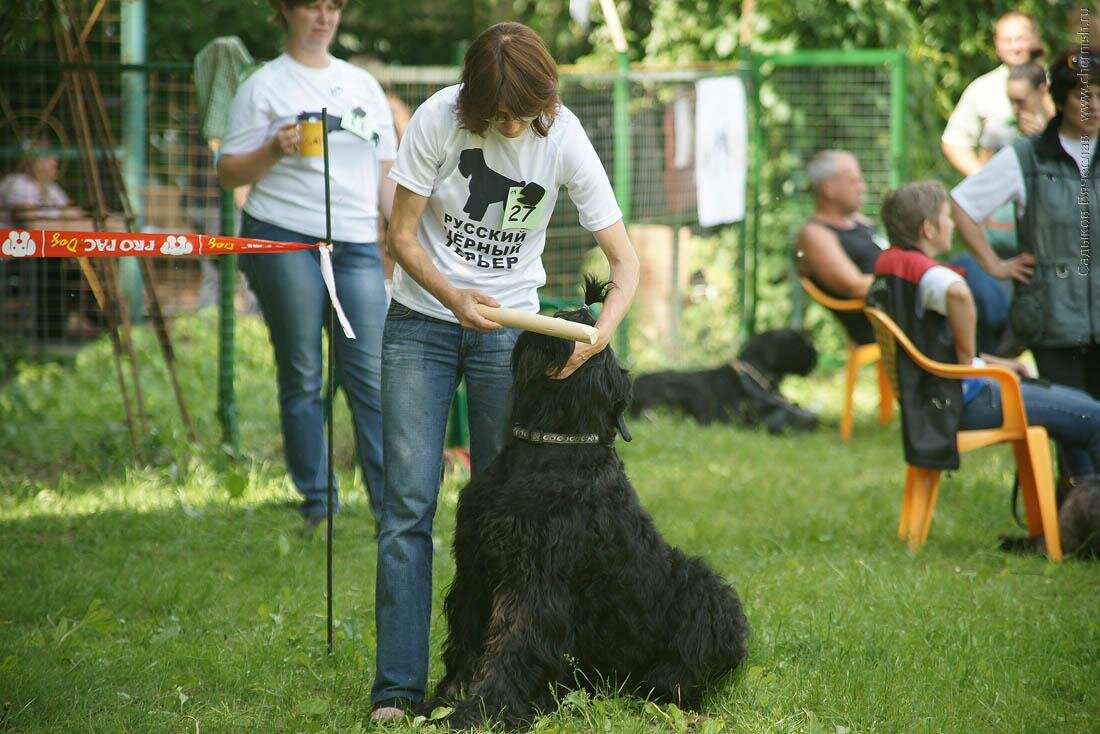 "Нюхай, запоминай... Дыши носом, а не ж..