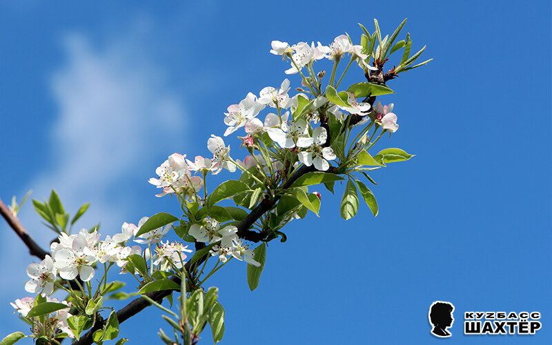 Фото автора. Снимок не имеет прямого отношения к истории, а лишь косвенно иллюстрирует публикацию.