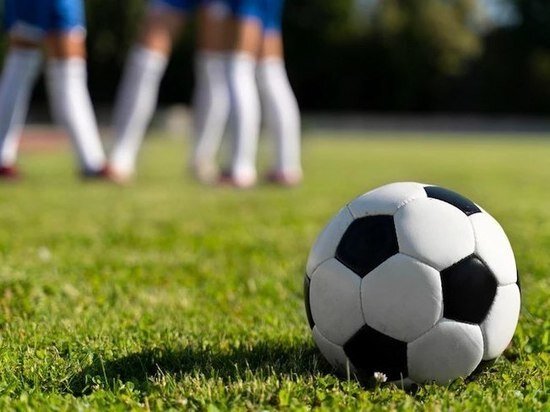     ФОТО С САЙТА freepik