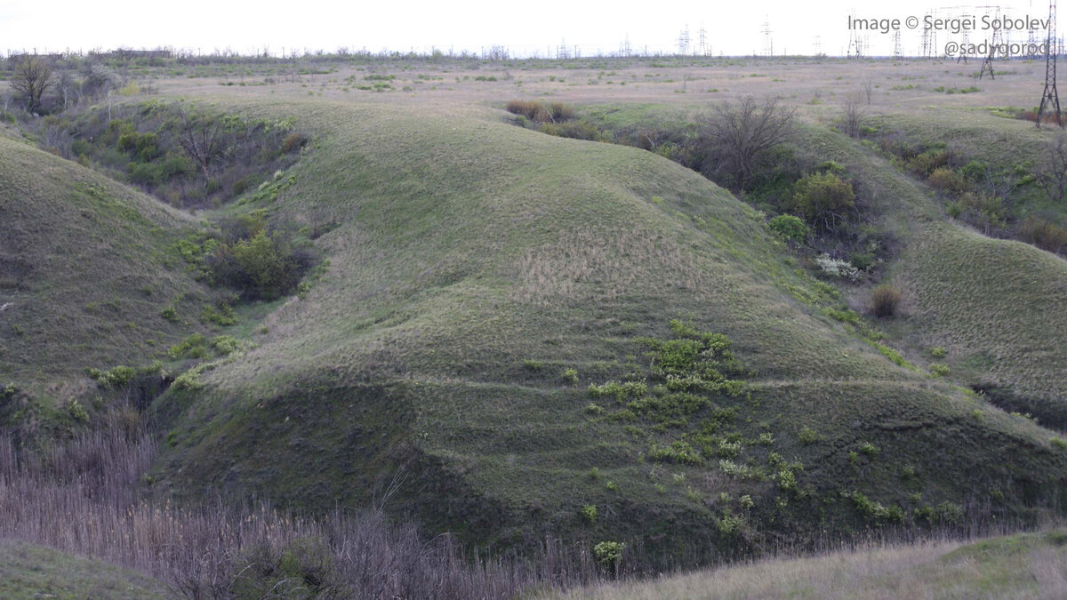 Сухие балки Мокрой Мечётки на южной оконечности Волгограда.