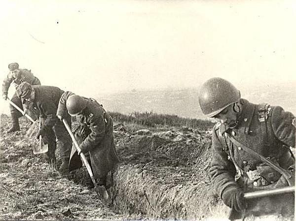 Тактическое поле... | Россия, Армия и Флот | Дзен