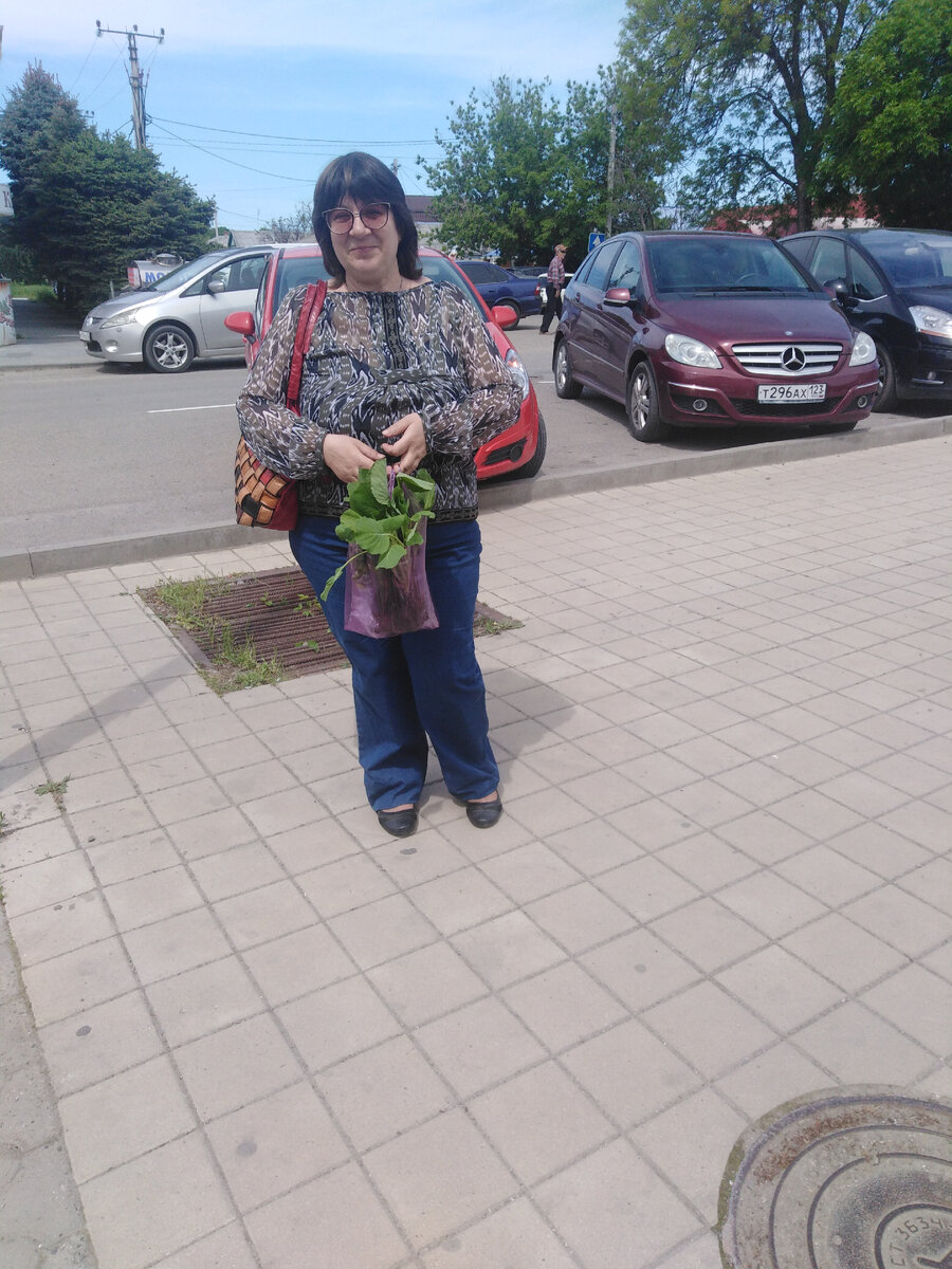 Автор с рассадой.