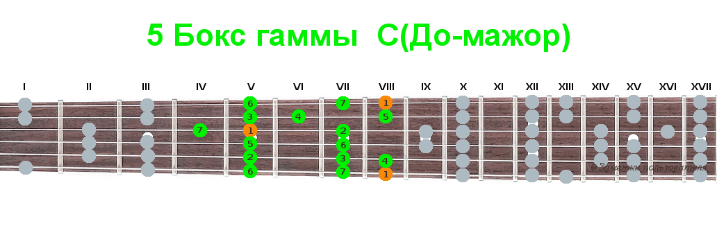 Гамма вариант. Схема мажорной гаммы. бокс мажорной гаммы. си мажор в открытой позиции на гитаре. гамма до мажор на укулеле.