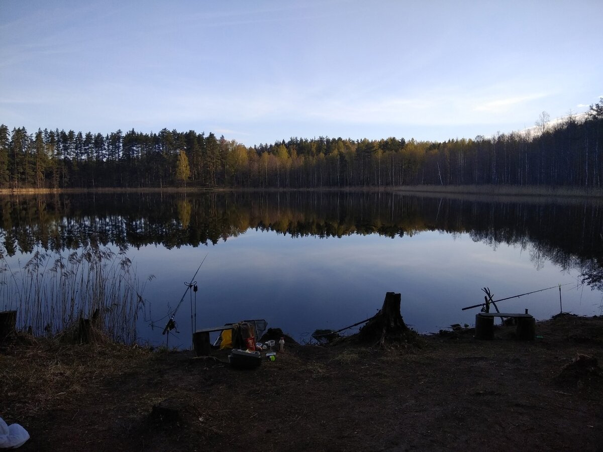 Фото сделано уже 8-го числа. Лежащий снег фотографировать не хотелось.