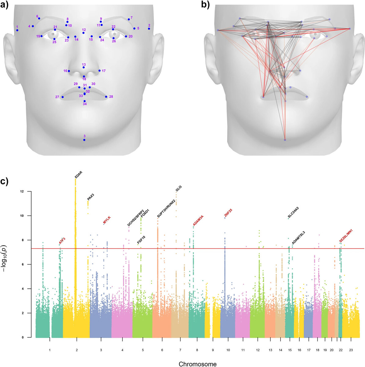   Qing Li et al. / Communications Biology, 2023
