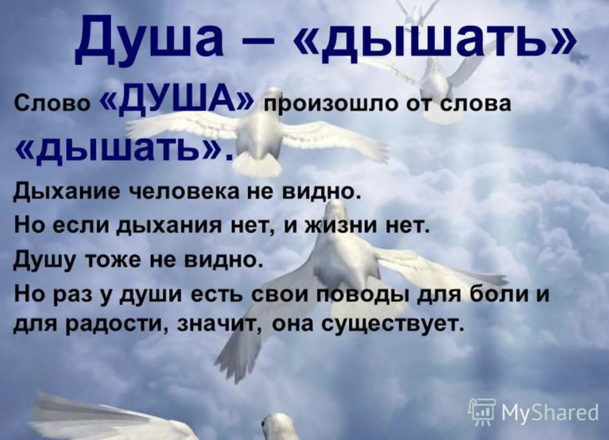 смысл чем люди живы. письмо от живого человека. папа а в чем смысл жизни мем не знаю я сам только 4 месяца живу. пословица не хлебом единым жив человек. смысл чем люди живы.