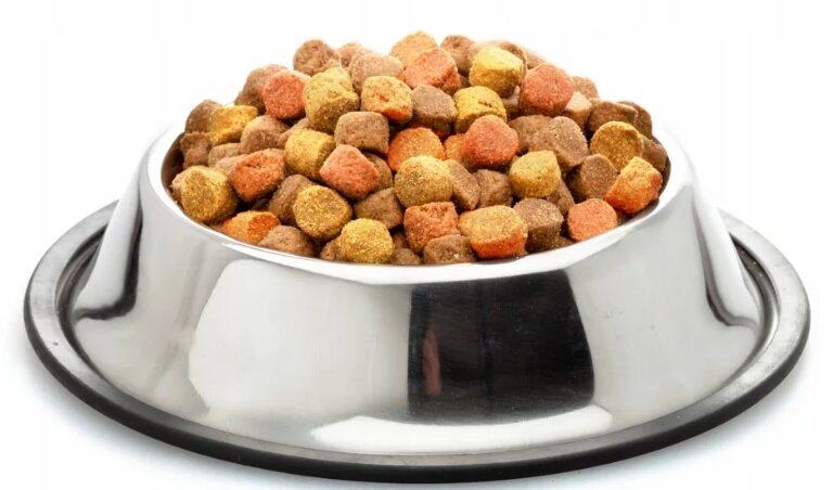 Сухой корм для собак