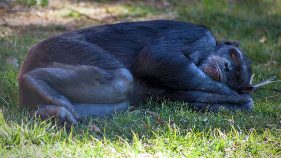 Когда жена выгнала из дома