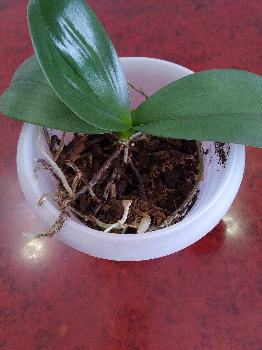 Личное