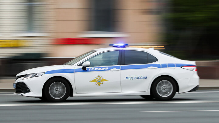 © PETROV SERGEY/GLOBALLOOKPRESS