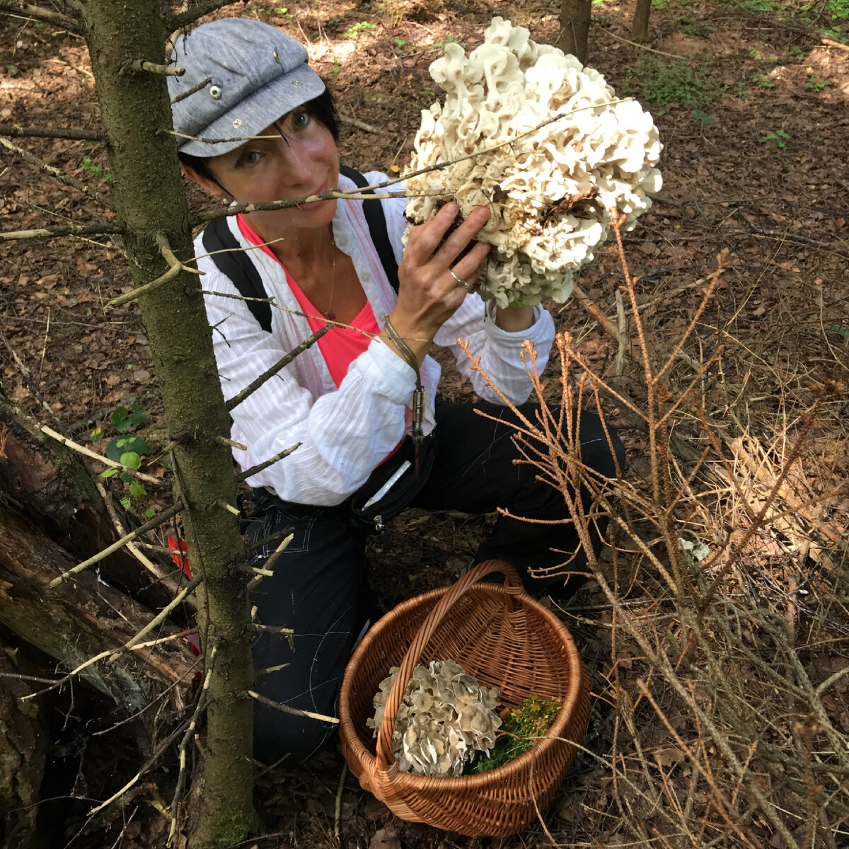 Краснокнижная грифола курчавая или гриб-баран….Июль 2018