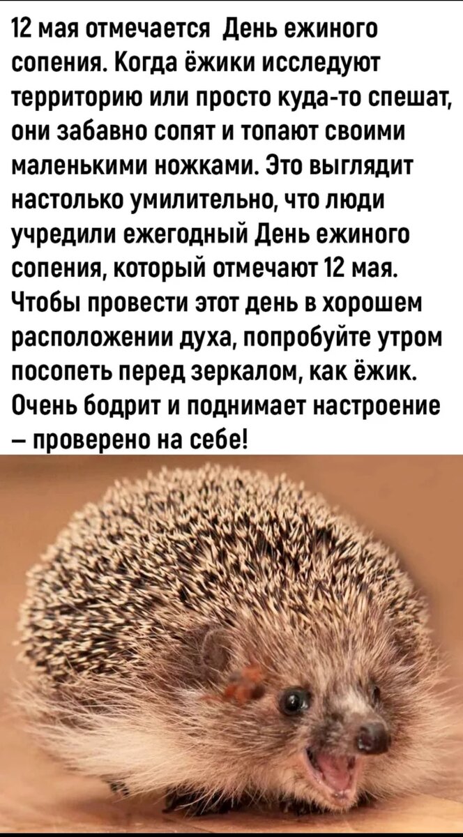 Не поднимает, не верьте